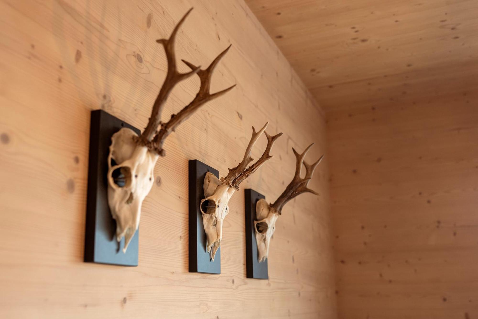 Holzlodge Deluxe Radstadt Exteriör bild